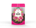 Bi fix Hibiskus Napar owocowy